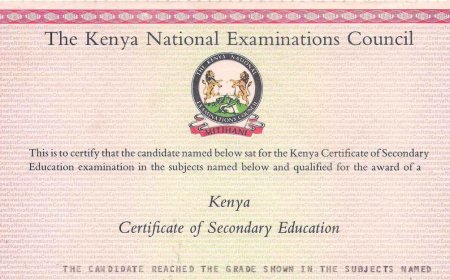 How Govt Official Used Fake KCSE Certificate To Make Millions