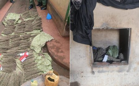 NACADA Seizes Hard Drugs Hidden In 134 Brooms