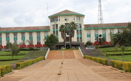 Moi University Begins Firing Up To 800 Staff