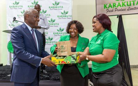 Leading Avocado Producer Karakuta Commissions 7,500 Tonnes Packhouse Backed by Equity Bank