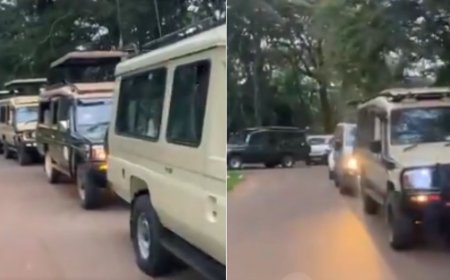 KWS Speaks After Foreign Journalist Complains Of 2KM Traffic Jam At Nairobi National Park