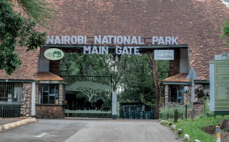 KWS Rolls Out Radical Changes To Nairobi National Park After Tourists' Complaints
