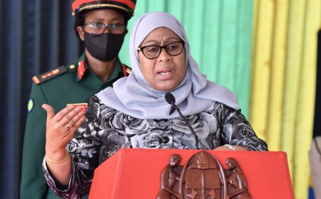Tanzania President Suluhu Fires At Kenya After Deporting Activists