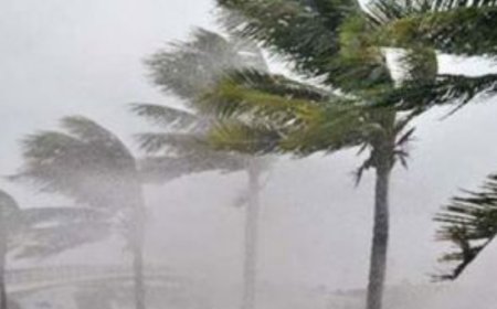 Live In These 15 Counties? Beware Of Strong Winds & Large Waves This Weekend