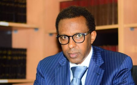 I Know The Law: Ahmednasir Schools Judiciary After Latest Demand