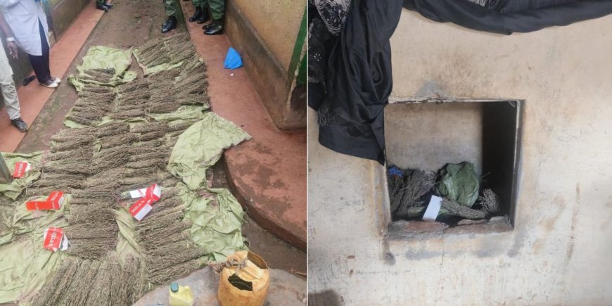 NACADA Seizes Hard Drugs Hidden In 134 Brooms