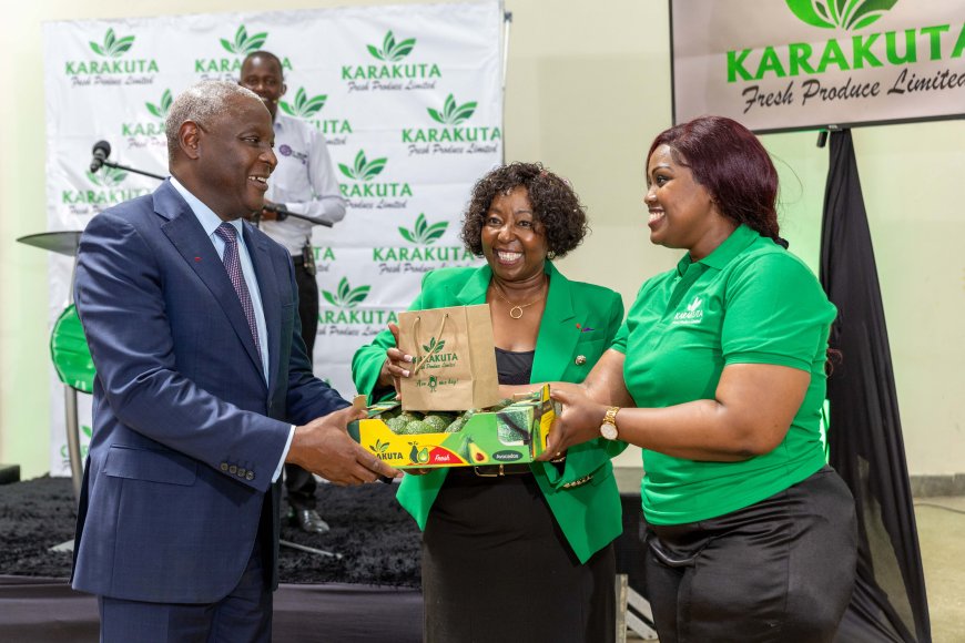 Leading Avocado Producer Karakuta Commissions 7,500 Tonnes Packhouse Backed by Equity Bank