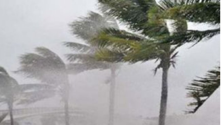 Live In These 15 Counties? Beware Of Strong Winds & Large Waves This Weekend