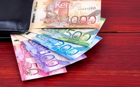 LIST: 10 Leading Money Market Funds In Kenya As Of June 2025