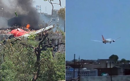 One Survives As At Least 200 Killed In Air India Crash