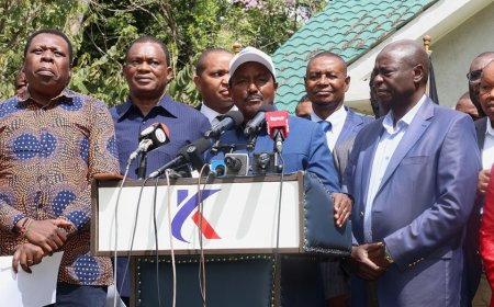 Kalonzo, Gachagua Give Update On Taking Ruto To ICC