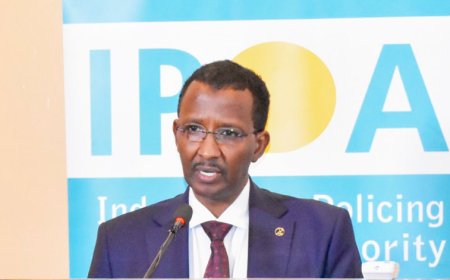 20 Deaths In Police Custody After Albert Ojwang Murder: IPOA