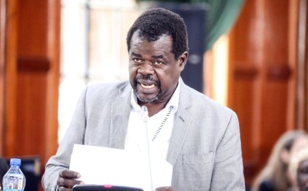 Omtatah Reveals Why He Stopped Thousands From Marching To State House