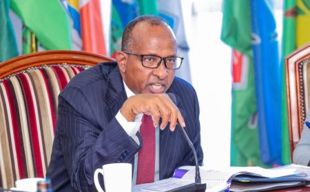 CS Duale Accuses June 25 Protesters Of 'Crossing Constitutional Red Line', Issues Demands