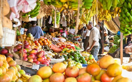 9 Key Food Items Whose Prices Rose In One Year: Report