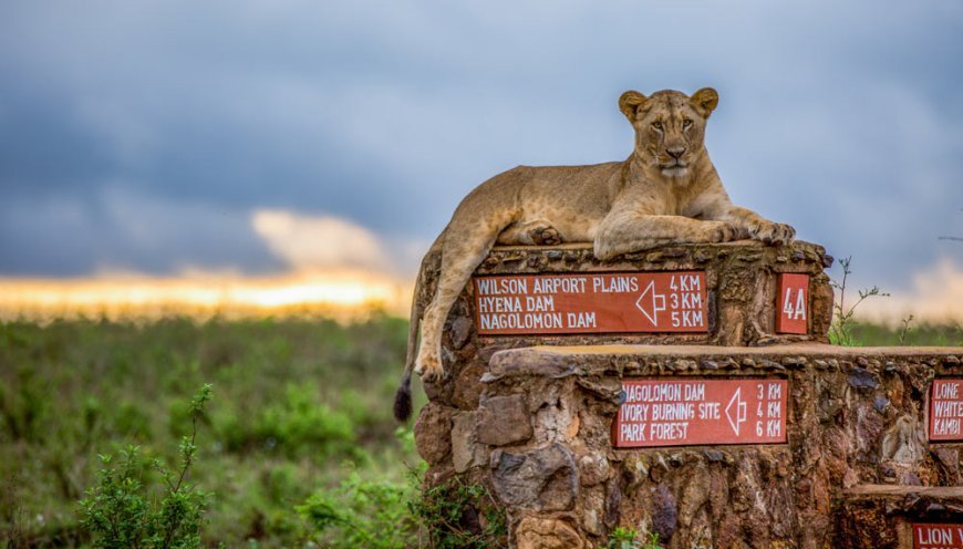 Atwoli Proposes Removal Of Nairobi National Park