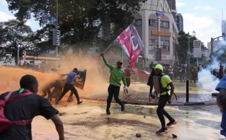 Inside Passaris' New Bill Aimed At Controlling Protests In Nairobi