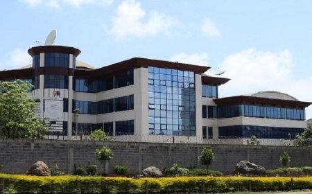 Standard Group Promotes Veteran Journalist To Acting CEO