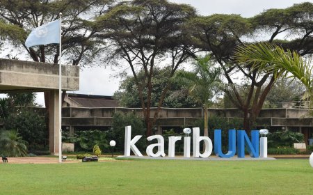 UN Bashes Kenya Police Over Killing Of 11 During Saba Saba Protests