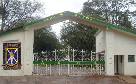 Govt Issued 4 Demands Over Sexual Assault Claims At Alliance Girls