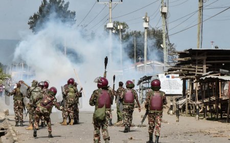 Saba Saba Death Toll Rises To 31: KNCHR