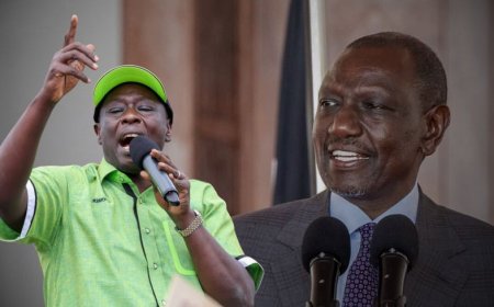Wantam Is Not To Overthrow You: Gachagua Answers Ruto