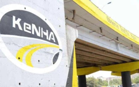 KeNHA Director General Resigns