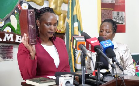 Govt Advertises Registrar Of Political Parties Post After Ann Nderitu Exit: How To Apply