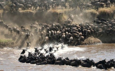 Maasai Mara Gets One-Of-A-Kind Global Recognition