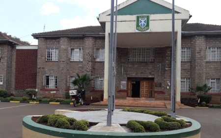 Action Taken Against Alliance Girls Teacher In Sexual Abuse Scandal