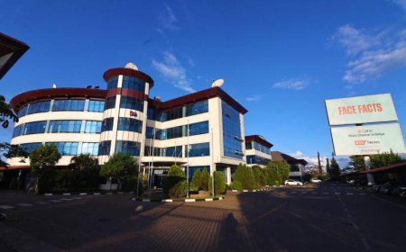 Standard Group Planning Fresh Firing Of Staff