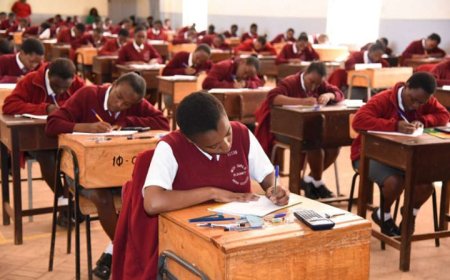 Kenya Govt Admits It Cannot Provide Free Education Anymore