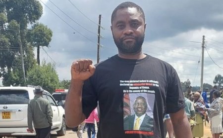 Missing Activist Mwabili Mwagodi Found As Hanifa Escapes Abduction Attempt