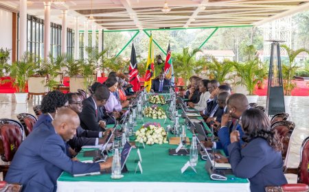 County Govt To Take Over National Park After Latest Cabinet Decision