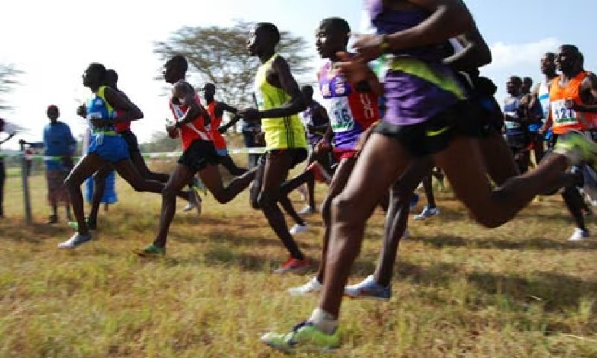 Govt To Honour These Athletes With Ksh70 Million Compensation