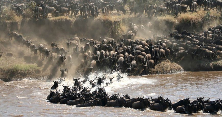 Maasai Mara Gets One-Of-A-Kind Global Recognition