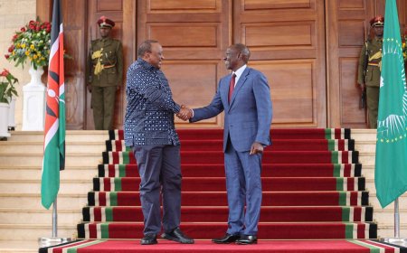 Uhuru Explains Visiting Ruto At State House