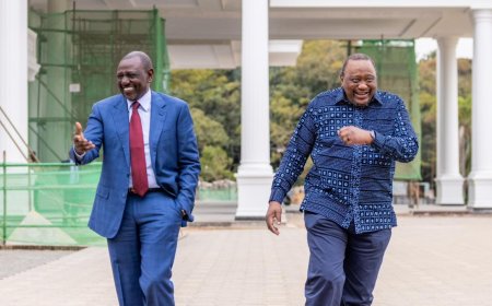 Ruto's 'Tutam' Is Confirmed After Meeting Uhuru: Senator Claims