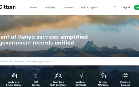 eCitizen On Spot After Billions In Funds Unaccounted For