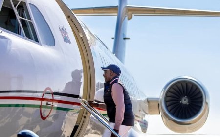 Details Of President Ruto's Visit To Japan On 14th Foreign Trip This Year