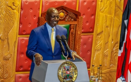 Why Senators Want Ruto Summoned