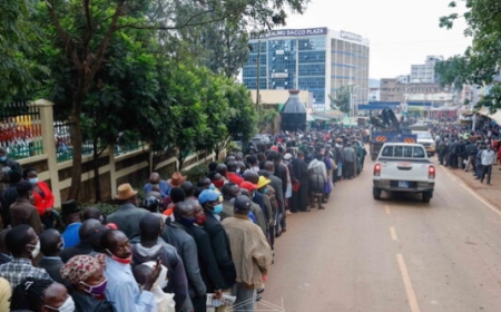 2,400 Job Seekers To Benefit From Newly Launched Special Economic Zone