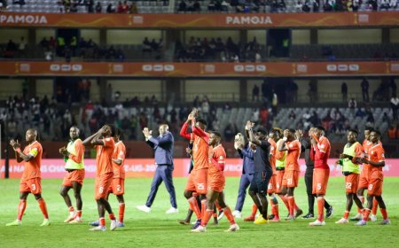 Uproar Over Murang'a Seals Player Celebrating Harambee Stars' Exit From CHAN 2024 [VIDEO]