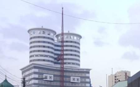 2 Arrested Over Distributing Daily Nation Newspapers Illegally