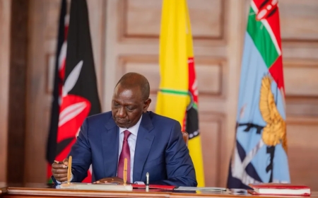 Ruto Appoints Faith Odhiambo To Deputise Makau Mutua In Panel Of Experts For Protest Victims