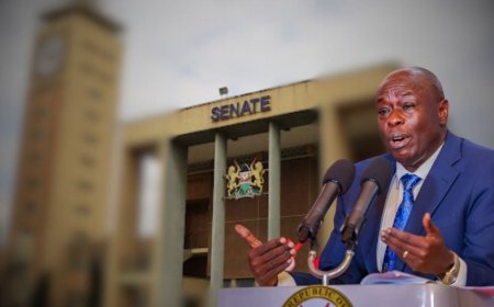 How Much Ruto Paid Senators, MPs To Pass Finance Bill 2024, Impeach Me: Gachagua