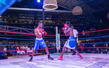 Taking Kenya Boxing to Another Level: Odibets, Aiwex Sports Host Nairobi Fight Night