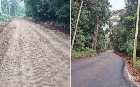 Why Your Saturday Karura Walks Will Never Be the Same