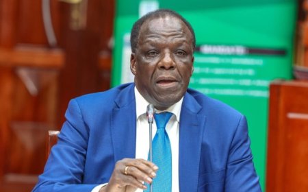 Calls For Oparanya To Be Arrested Immediately After Court Ruling