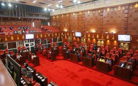 Nairobi MCA Resigns, Cites Frustration With Sakaja Govt